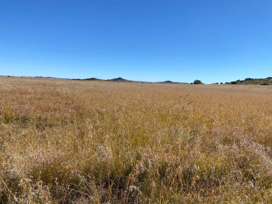 Commercial Property for Sale in Bloemfontein Rural Free State